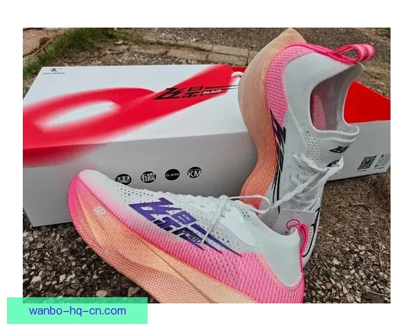 2025中国男子马拉松盘点选手成绩与战靴全解析